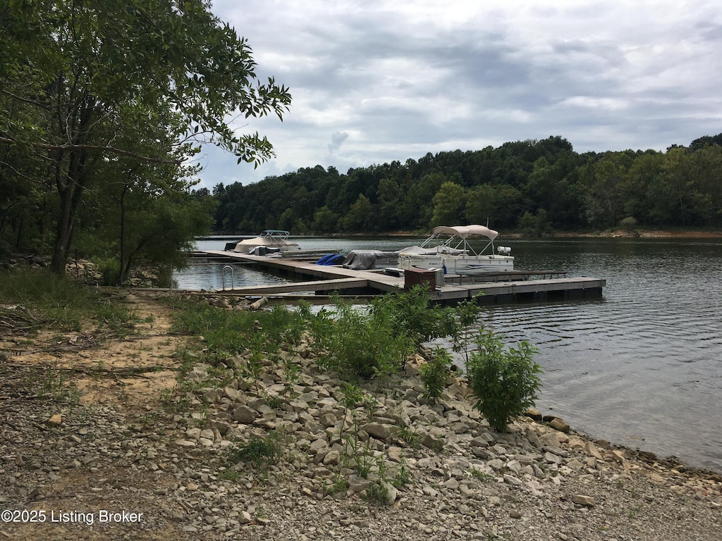 55 Lakefront Rd, Leitchfield, KY 42754