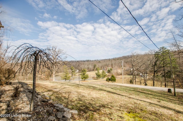 562 Peaceful Way, Shepherdsville, KY 40165 - view of yard
