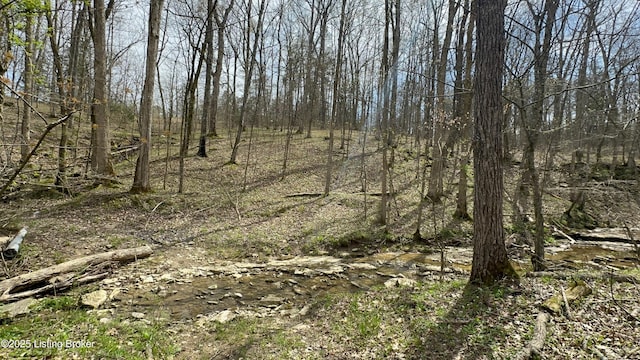 475 S Downs Ln, Shepherdsville, KY 40165 - photo 70