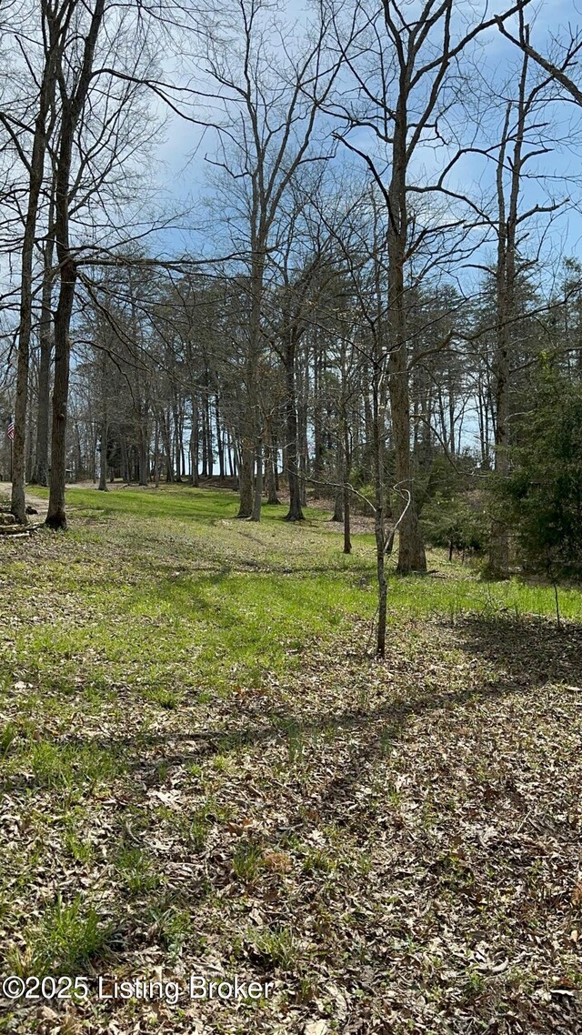 475 S Downs Ln, Shepherdsville, KY 40165 - photo 71