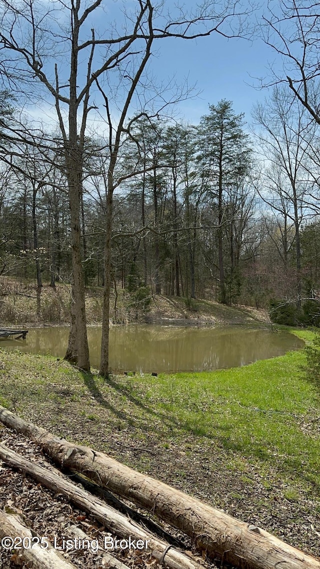 475 S Downs Ln, Shepherdsville, KY 40165 - photo 72