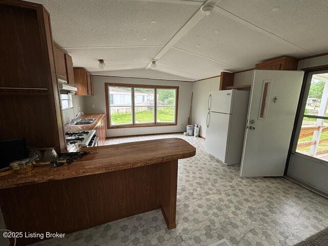 345 Hemlock Dr, Shepherdsville, KY 40165 - kitchen with freestanding refrigerator, light floors, a sink, range, and plenty of natural light