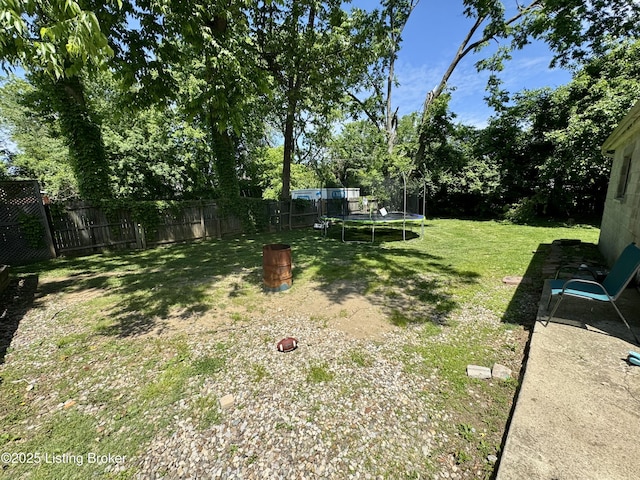 4919 Ferrer Way, Louisville, KY 40291 - view of yard featuring a trampoline