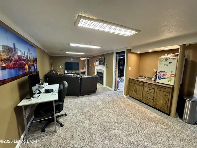 4919 Ferrer Way, Louisville, KY 40291 - office featuring light colored carpet, a fireplace, baseboards, a sink, and a textured ceiling