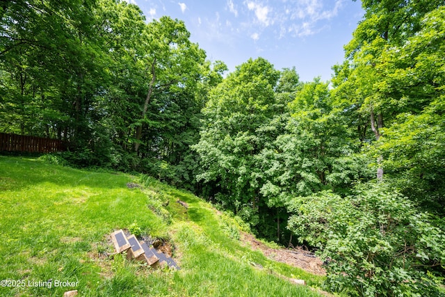 5302 Olde Creek Way, Prospect, KY 40059 - view of yard with fence