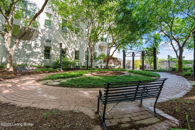 711 W Main St Unit T, Louisville, KY 40202 - view of community