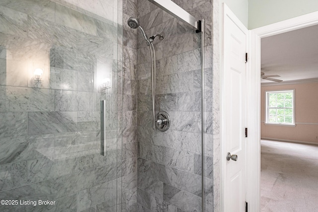 3920 Elfin Ave, Louisville, KY 40207 - full bath featuring a shower stall and a ceiling fan