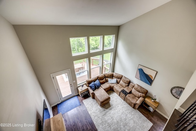 3928 Creek Meadow Dr, La Grange, KY 40031 - living area with a high ceiling, dark wood-style flooring, and baseboards