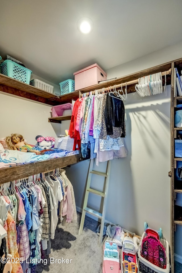 3928 Creek Meadow Dr, La Grange, KY 40031 - walk in closet featuring carpet