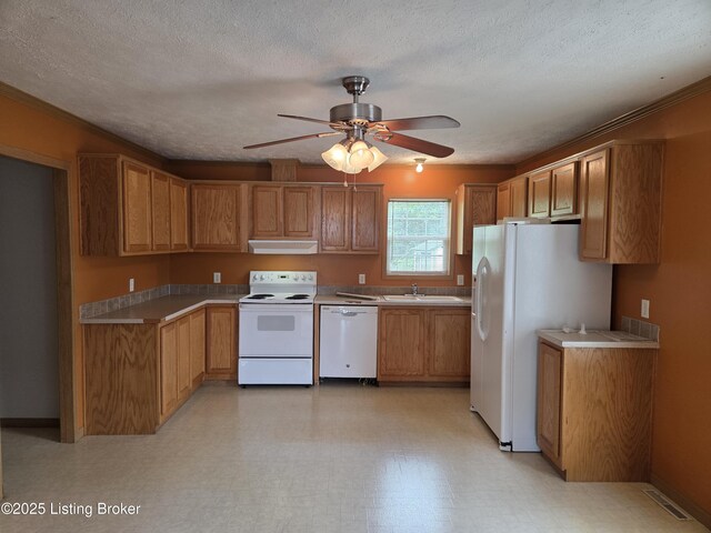 15008 Galston Blvd, Louisville, KY 40272 - kitchen featuring white appliances, under cabinet range hood, a sink, ceiling fan, and brown cabinetry
