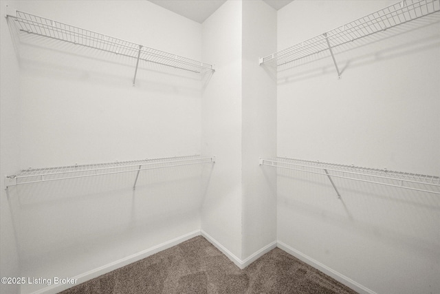 5010 Cotehele Pl, Louisville, KY 40241 - walk in closet featuring carpet flooring