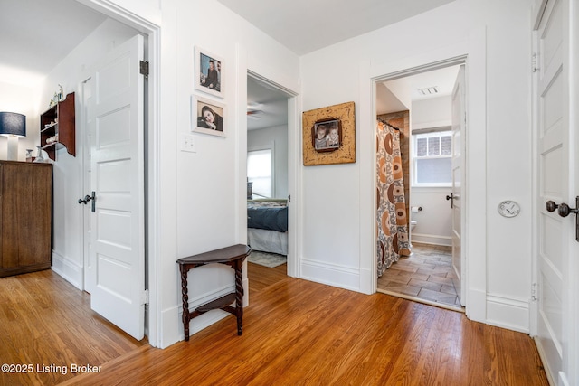 2220 Alta Ave, Louisville, KY 40205 - hall with plenty of natural light, light wood finished floors, and baseboards