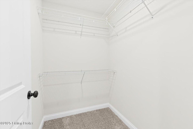 401 Sandy Cir, Elizabethtown, KY 42701 - spacious closet with carpet floors