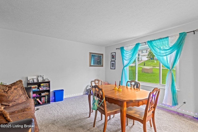 7333 W Orchard Grass Blvd, Crestwood, KY 40014 - carpeted dining space with a textured ceiling