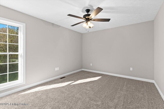 432 Sandy Cir, Elizabethtown, KY 42701 - photo 18