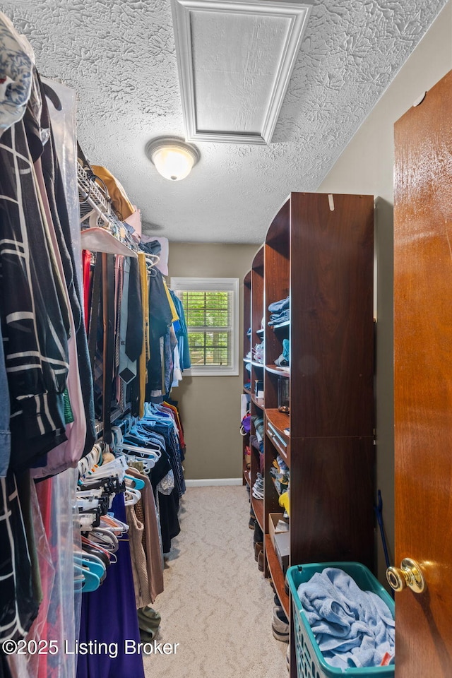 4308 Fence Pl, Louisville, KY 40241 - walk in closet featuring carpet flooring