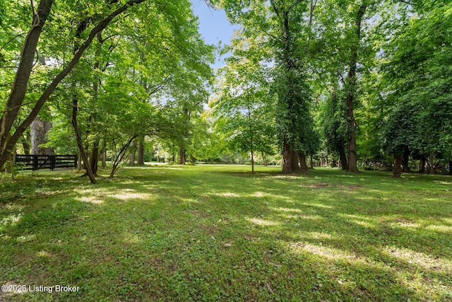 12104 Locust Ln, Anchorage, KY 40223 - view of yard