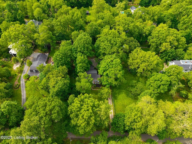 12104 Locust Ln, Anchorage, KY 40223 - bird's eye view