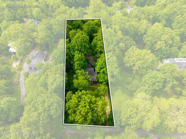 12104 Locust Ln, Anchorage, KY 40223 - aerial overview of property's location featuring a heavily wooded area and property boundaries highlighted