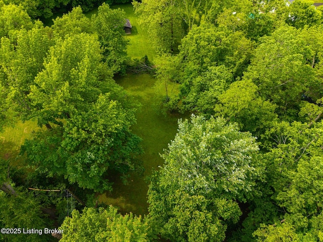 12104 Locust Ln, Anchorage, KY 40223 - drone / aerial view
