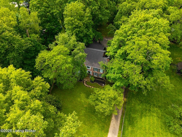 12104 Locust Ln, Anchorage, KY 40223 - view of subject property featuring a heavily wooded area