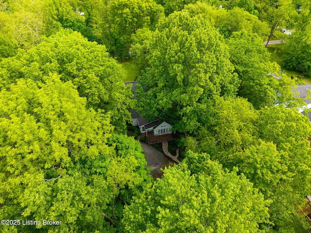 12104 Locust Ln, Anchorage, KY 40223 - bird's eye view of a forest