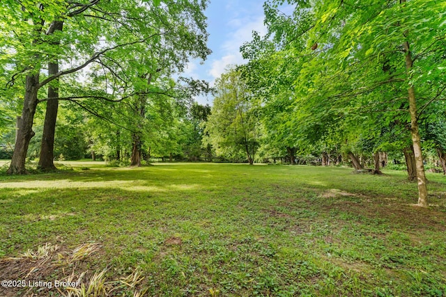 12104 Locust Ln, Anchorage, KY 40223 - view of grassy yard