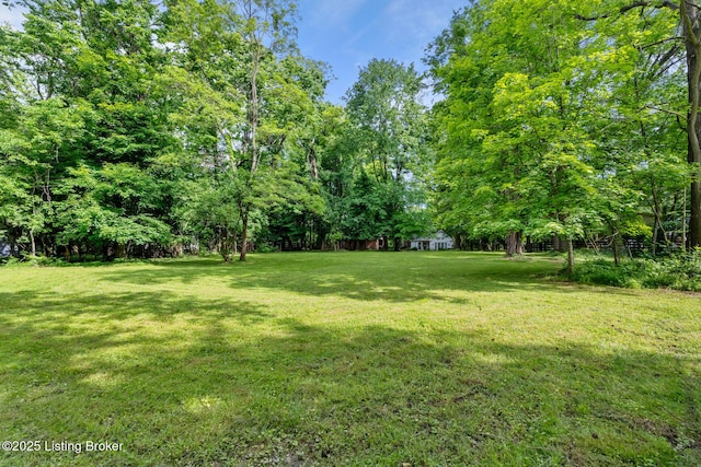 12104 Locust Ln, Anchorage, KY 40223 - view of grassy yard