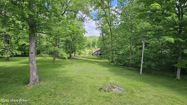 1250 Arnold School Rd, Webster, KY 40176 - view of grassy yard featuring a forest view