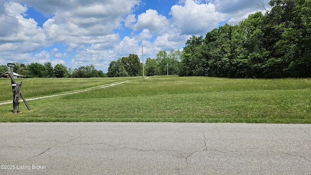 1250 Arnold School Rd, Webster, KY 40176 - view of community featuring a yard