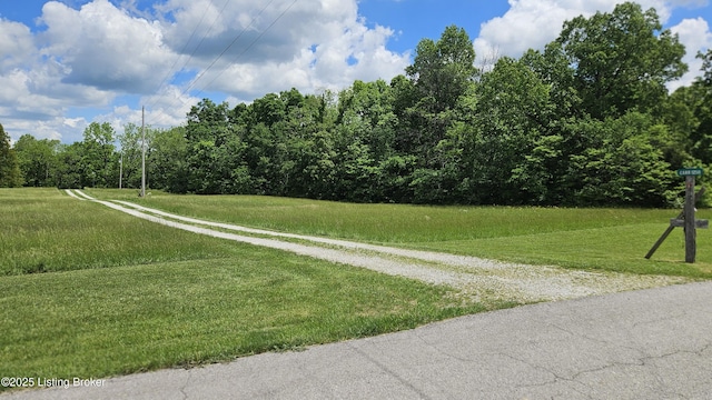 1250 Arnold School Rd, Webster, KY 40176 - view of street