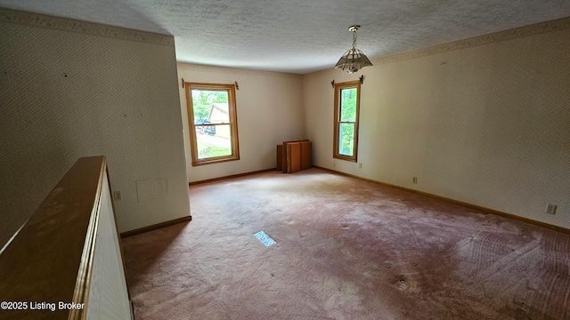 1250 Arnold School Rd, Webster, KY 40176 - spare room featuring baseboards, carpet flooring, and a textured ceiling