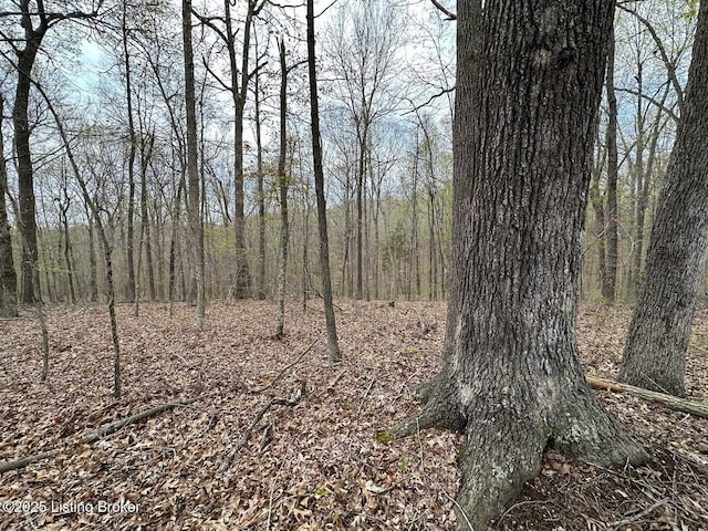 0 Vic Young Rd, Olaton, KY 42361