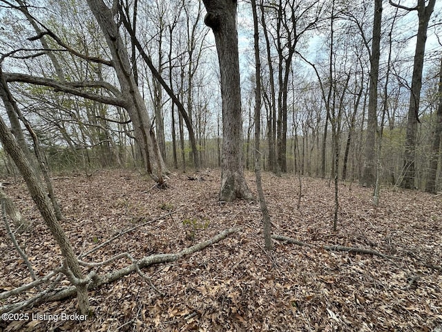 0 Vic Young Rd, Olaton, KY 42361
