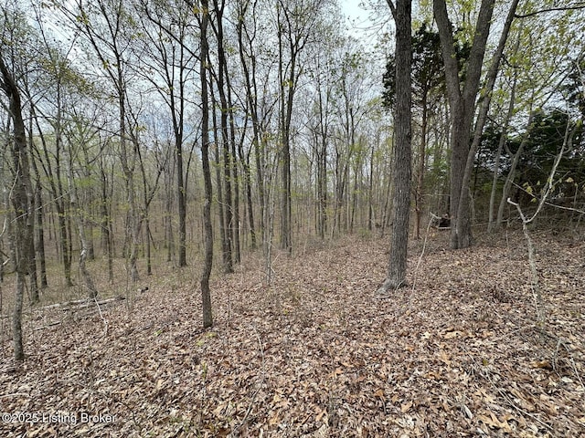 0 Vic Young Rd, Olaton, KY 42361