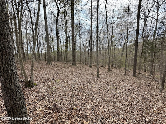 0 Vic Young Rd, Olaton, KY 42361