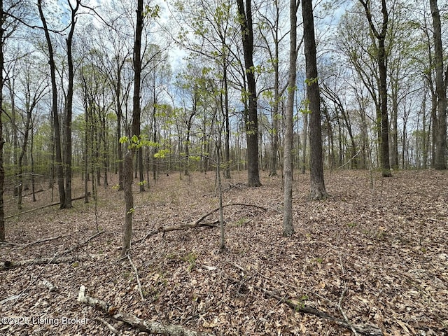 0 Vic Young Rd, Olaton, KY 42361