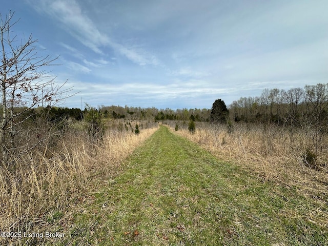 0 Vic Young Rd, Olaton, KY 42361