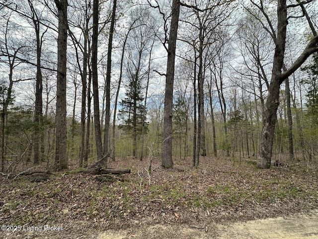 0 Vic Young Rd, Olaton, KY 42361