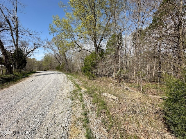 0 Vic Young Rd, Olaton, KY 42361