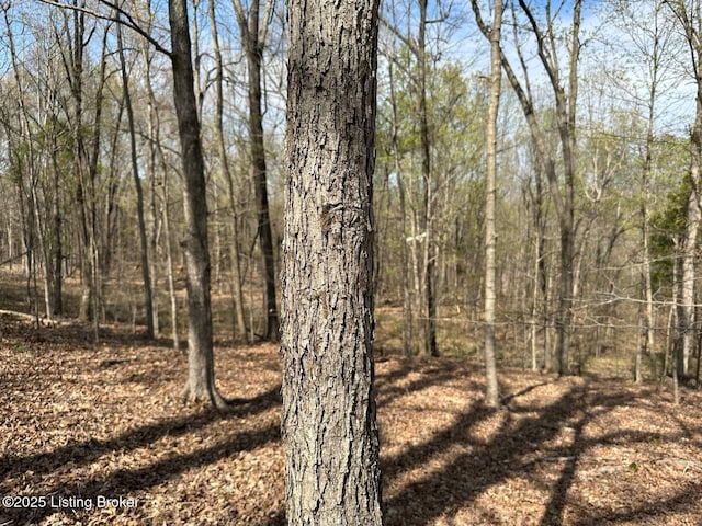 0 Vic Young Rd, Olaton, KY 42361