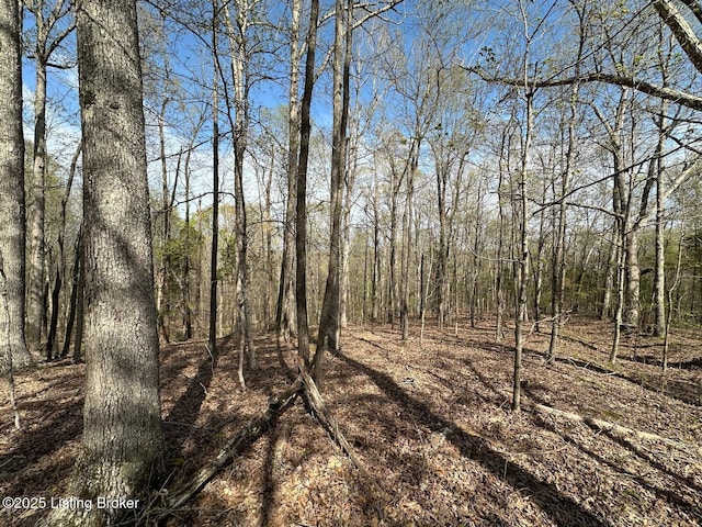 0 Vic Young Rd, Olaton, KY 42361