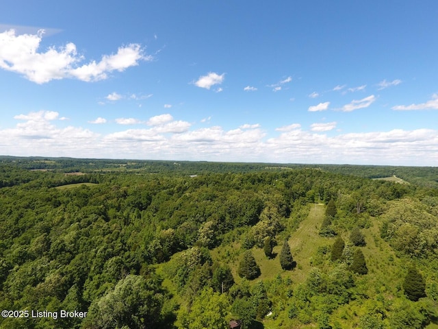 0 Vic Young Rd, Olaton, KY 42361