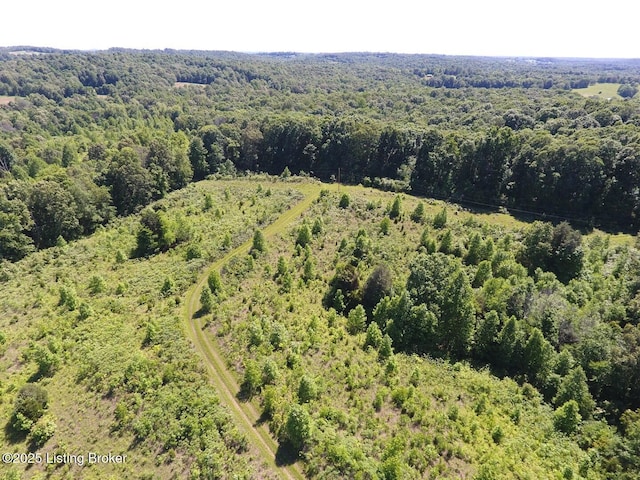 0 Vic Young Rd, Olaton, KY 42361