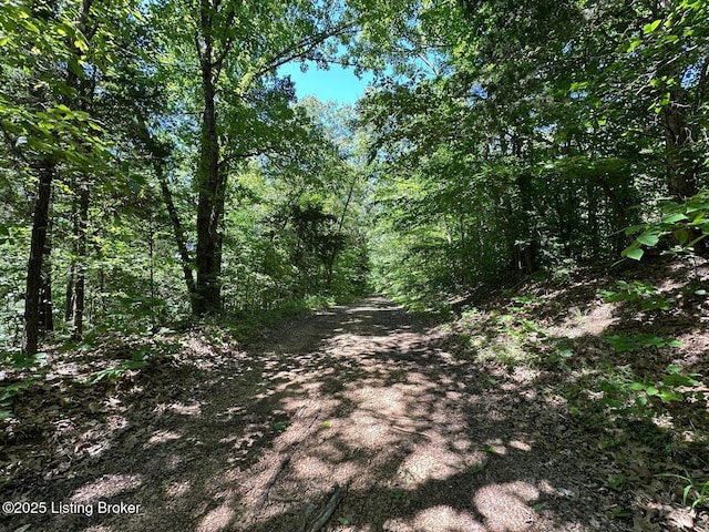 0 Vic Young Rd, Olaton, KY 42361