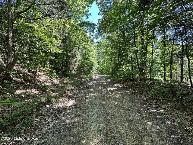 0 Vic Young Rd, Olaton, KY 42361