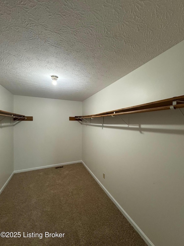 45 Paula Ct, Ekron, KY 40117 - spacious closet featuring carpet