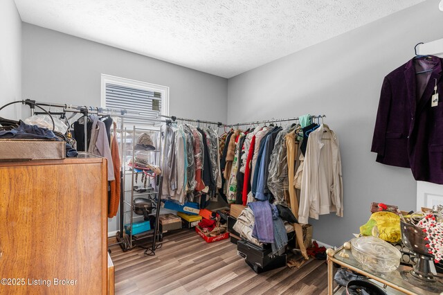 533 Wyandot Ct, Radcliff, KY 40160 - walk in closet featuring wood finished floors