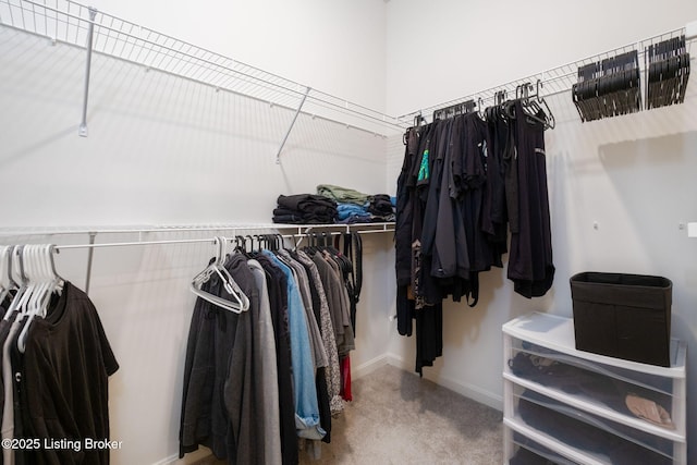 5806 Kellie Woods Dr, Louisville, KY 40258 - spacious closet featuring carpet floors