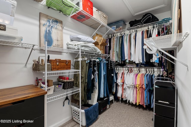 13512 Springs Station Rd, Louisville, KY 40245 - walk in closet with attic access and carpet